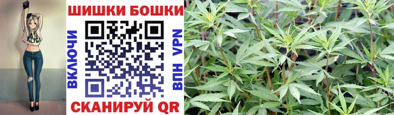 Псилоцибиновые грибы Кириллов