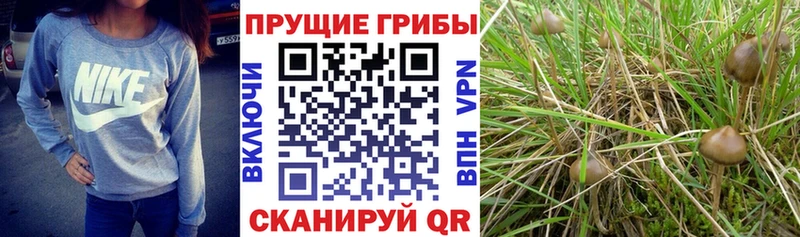Галлюциногенные грибы ЛСД  Кириллов 
